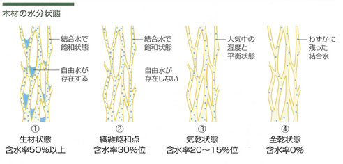 木材の水分状態